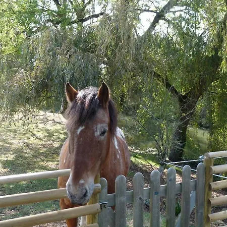 Le Relais De Chavagne