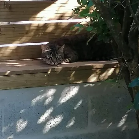 בית נופש Le Relais De Chavagne